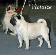 Victoire De la colline maya