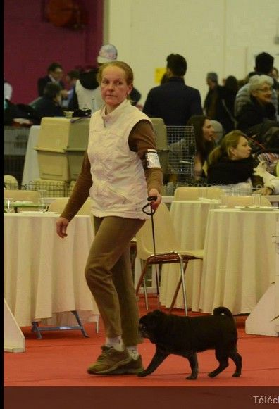 Ulsane De la colline maya